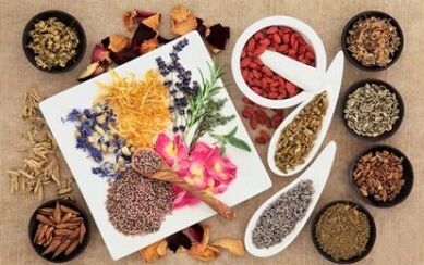 La terapia vegetal agrega miembros